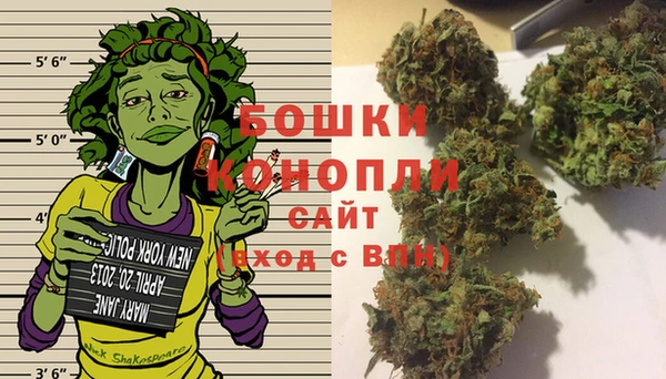 индика Лабытнанги