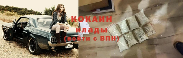 индика Лабытнанги