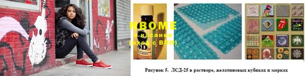 индика Лабытнанги
