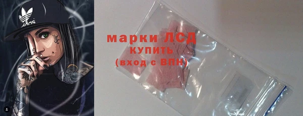 индика Лабытнанги