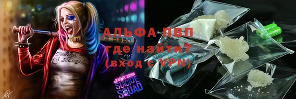 индика Лабытнанги